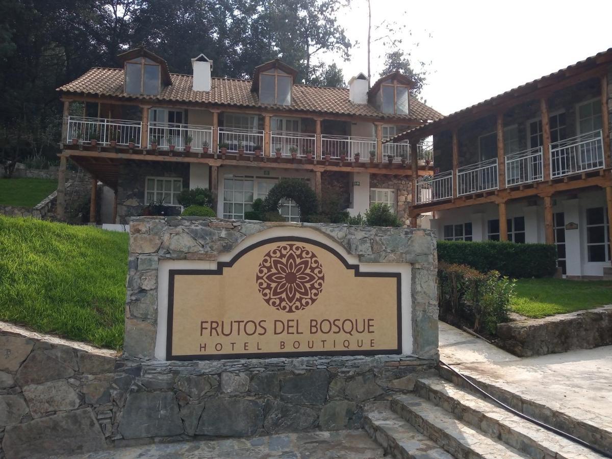 Hotel Frutos Del Bosque Zacatlán Exterior foto